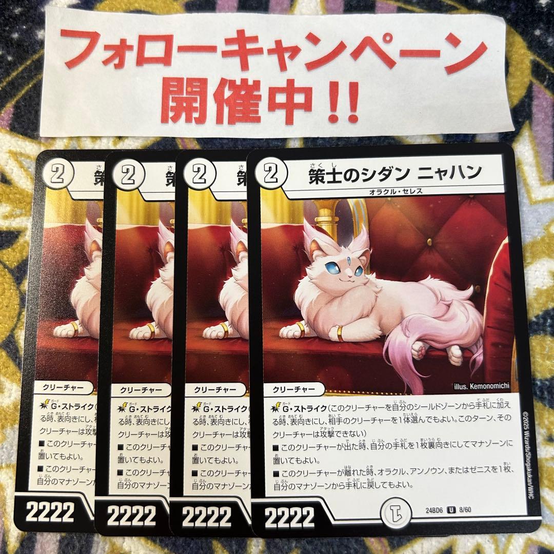 策士のシダン ニャハン 4枚 - メルカリ