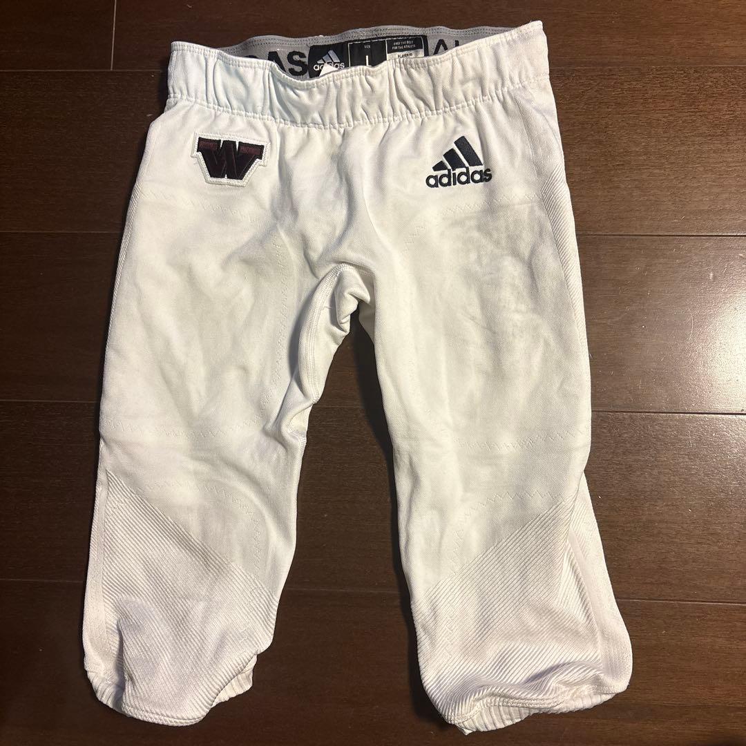 早稲田大学アメフト部　bigbears 試合用adidasフッパン　L 早稲田大学米式蹴球部（アメリカンフットボール） 2023年度