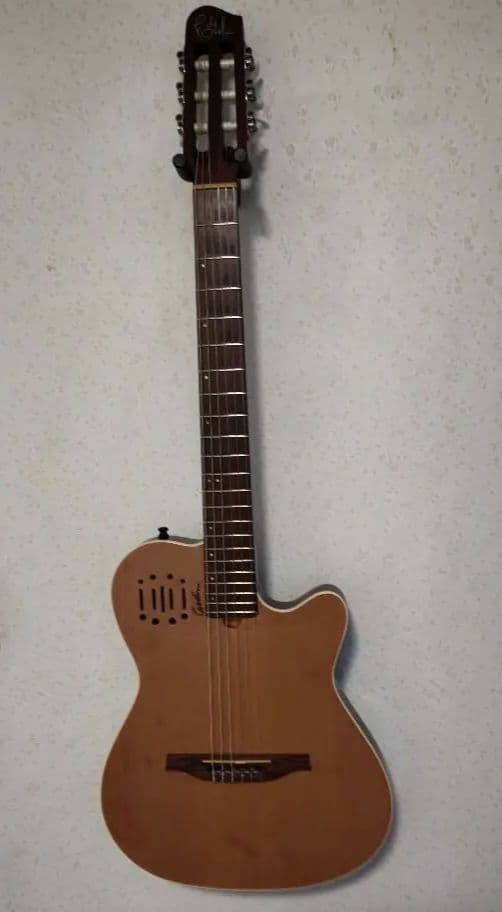 ゴダンギター　Multiac Nylon Encore Amazon.com: Godin Multiac Nylon Encore Acoustic Electric Classical
