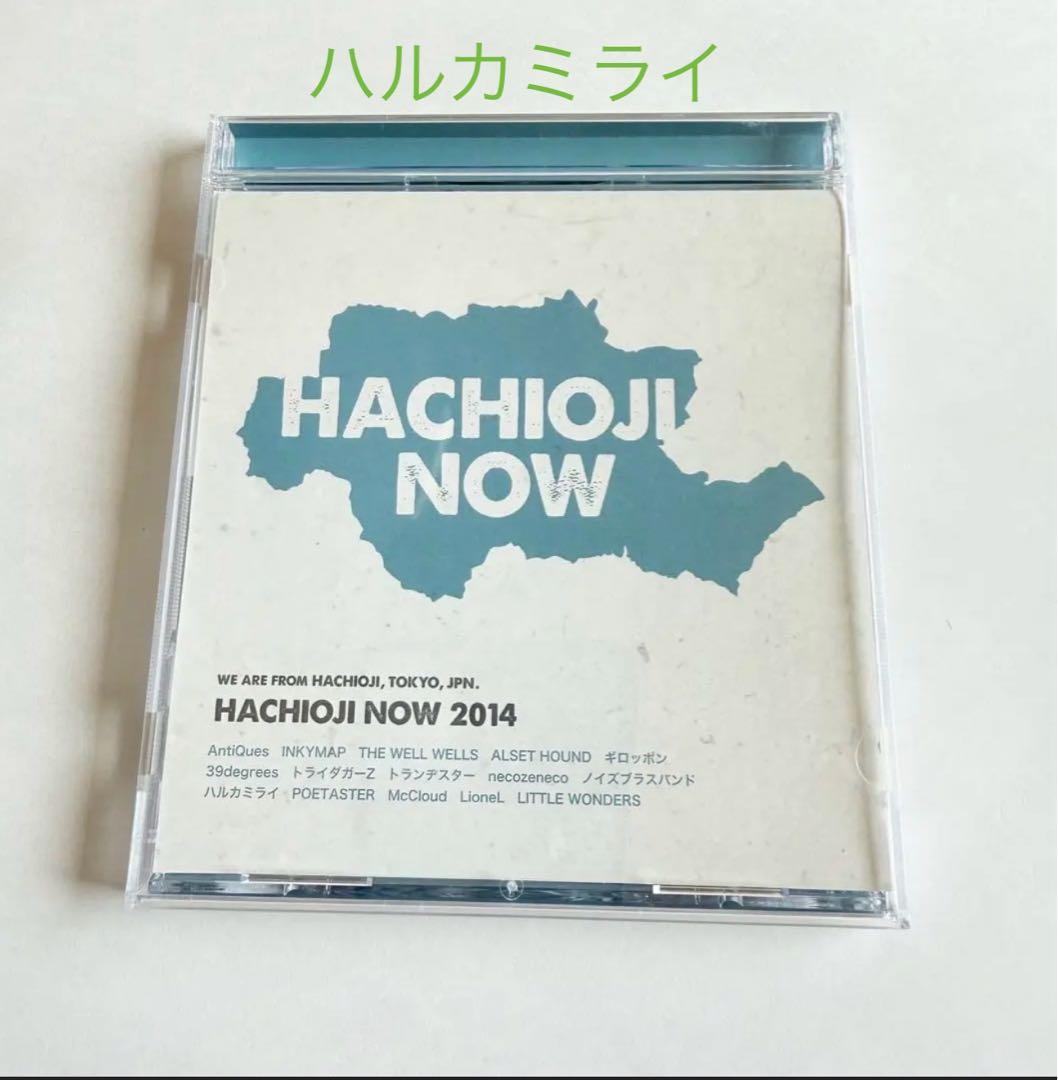 八王子NOW 2014 ハルカミライ another - メルカリ