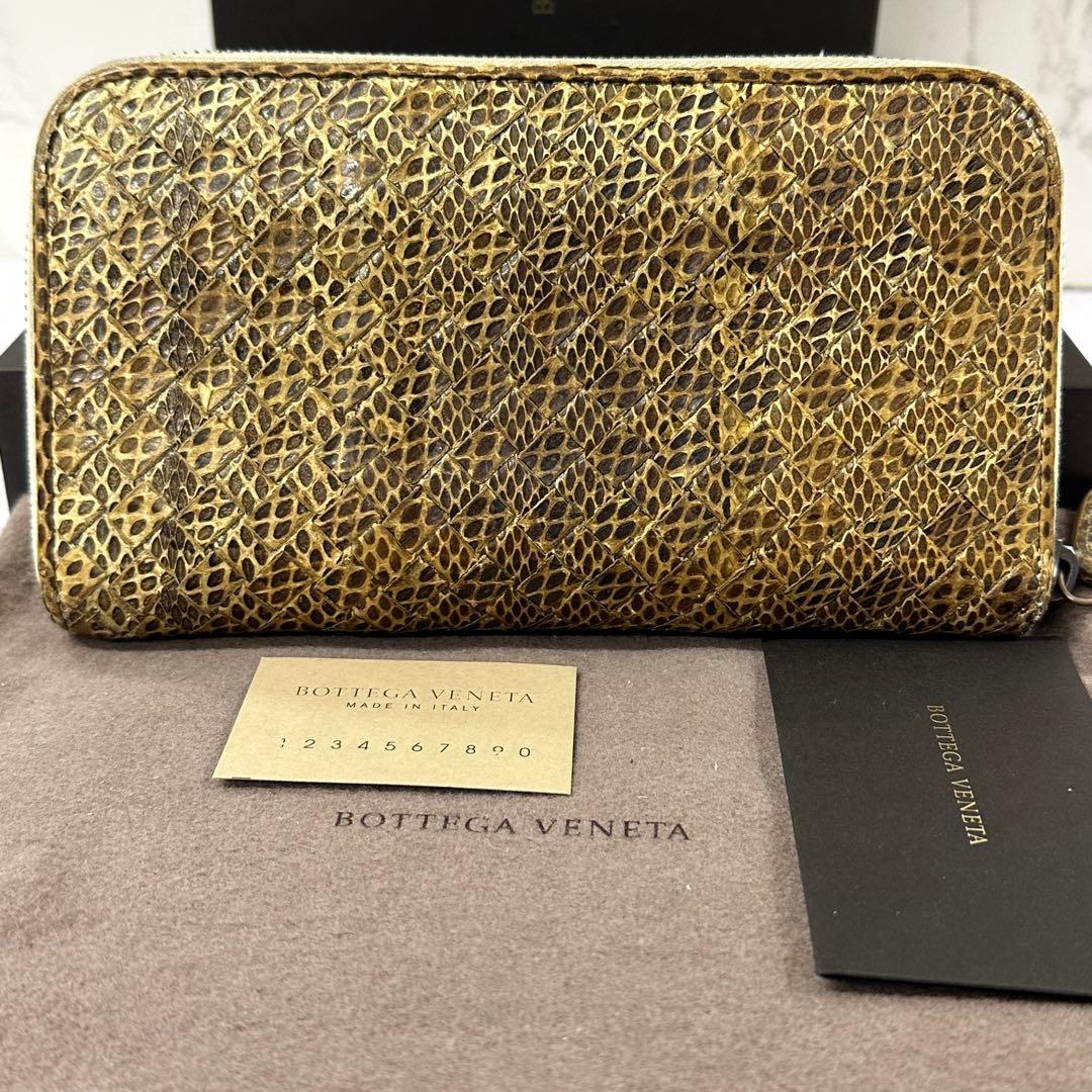 新品同様‼️ 希少 ボッテガヴェネタ 財布 長財布 パイソン ラウンド