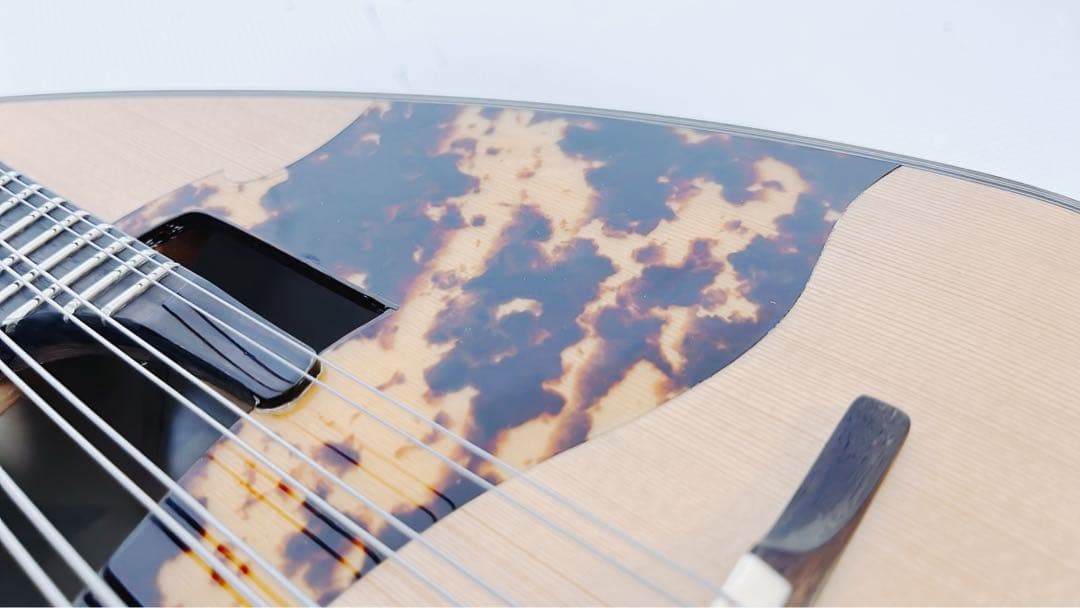 【美品 メンテ済】落合大悟郎 マンドラ D-2 最高級 岩本ケース付