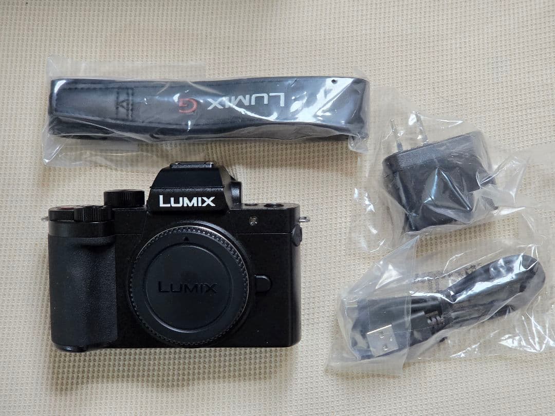 Panasonic LUMIX G100D ボディのみ（シャッター回数1134） - メルカリ