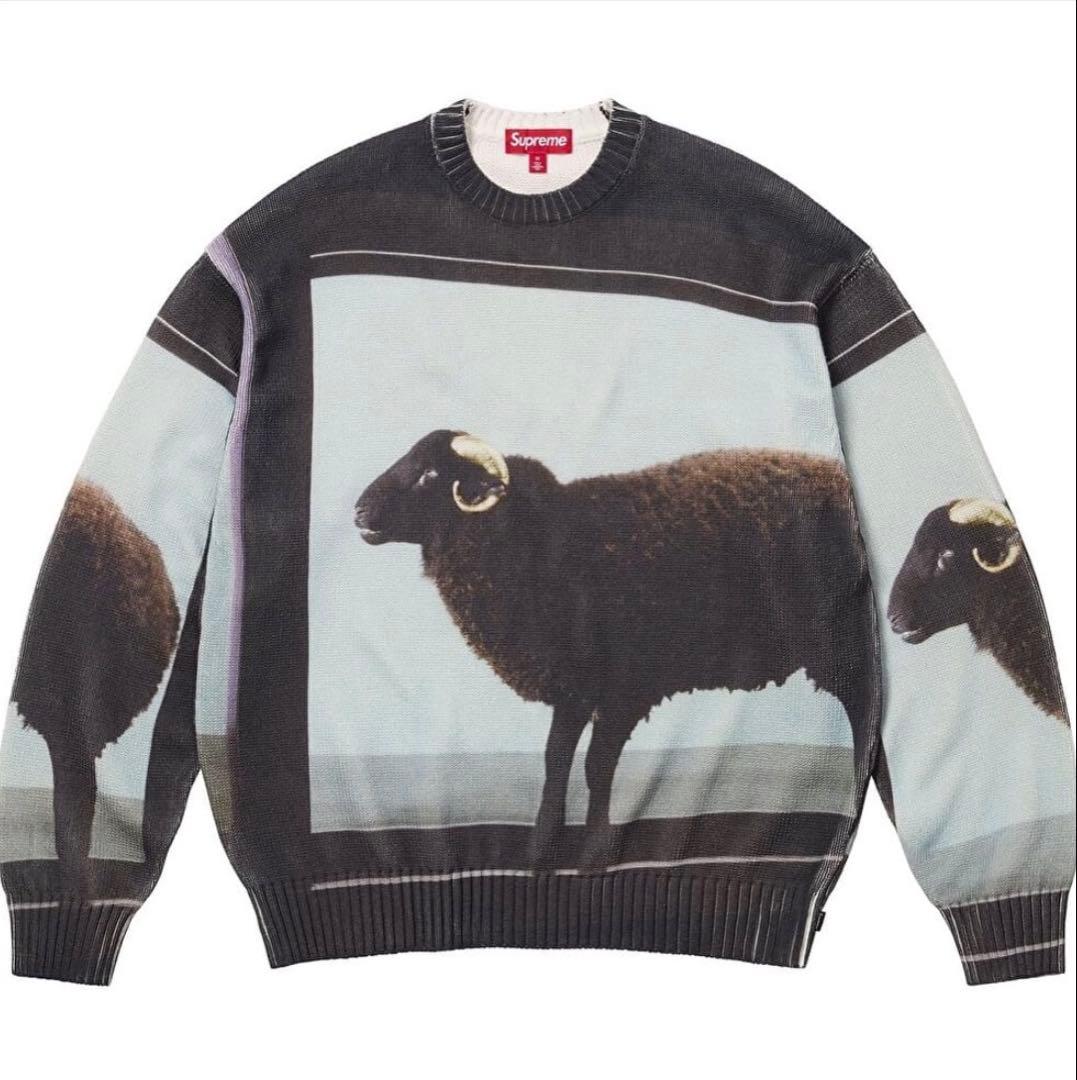 トップス supreme Damien Hirst Sweater 25ss M Supreme Damien Hirst Sweater (SS25) - $198