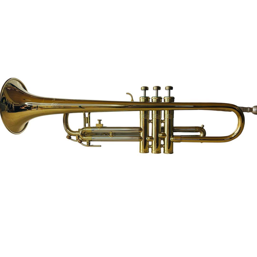 Hüttl ヒュッテル HUTTL LINE 800 トランペット ピストン動確 - メルカリ