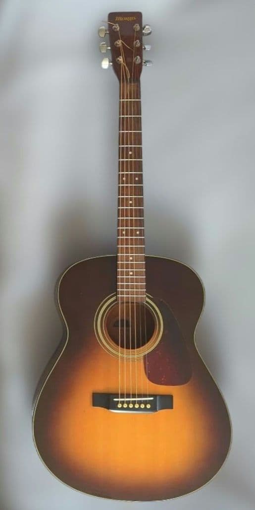 Morris エレアコギター MF-256TSサンバースト - メルカリ