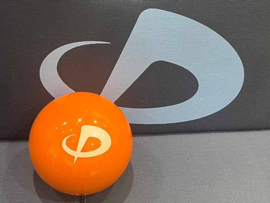 ファイテン ボウリング ボール スペア カバー 新品 未使用品 NEWカラー