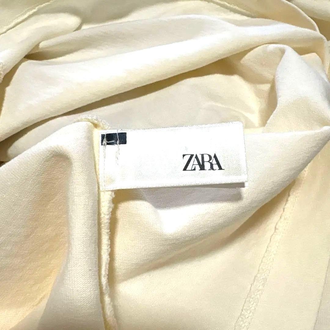 ZARA x Disney 長袖カットソー ピーターパン ナナ 完売品 L