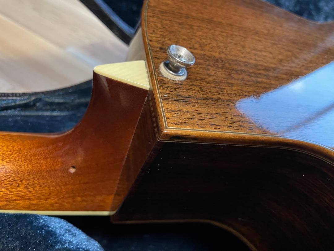 Larrivée ビンテージC-19 1993年製 ノースバンクーバー後期