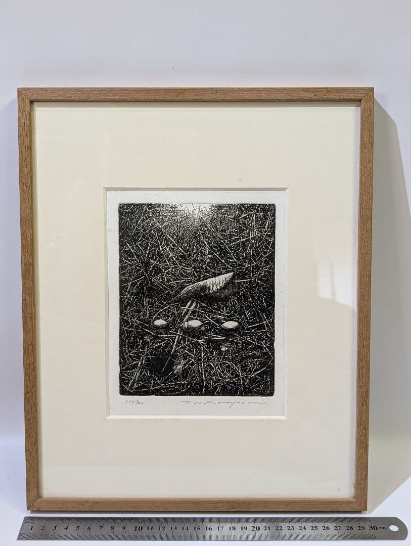 中林忠良 転位 ´93 - 地 (種子) エッチング 632/800静物画 版画