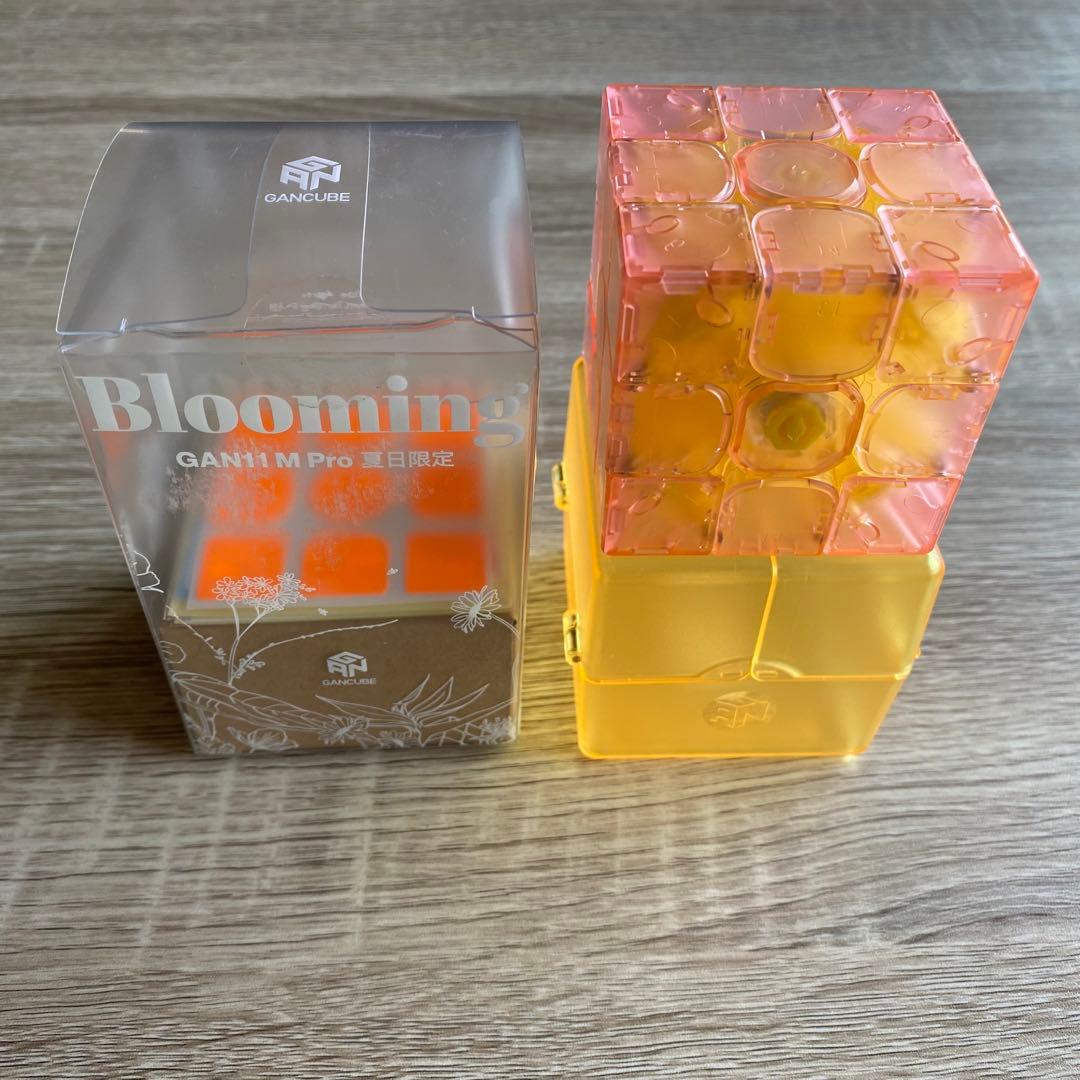 GAN11 M Pro Limited Edition Blooming L108948769 - ジグソーパズル