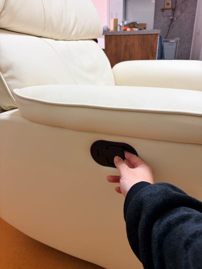 shop閉店最低価格✶LOWYA】楽々移動付きリクライニングソファ