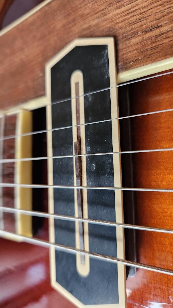 EASTMAN（イーストマン）AR-605E 中古 - メルカリ