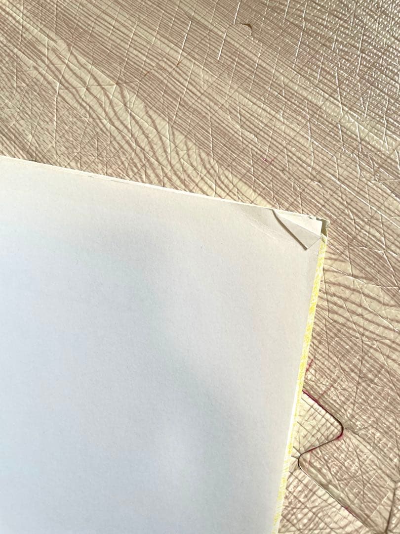 エクレア様 名作・人気絵本 38冊セット ぐりとぐら 林明子 どんぐり