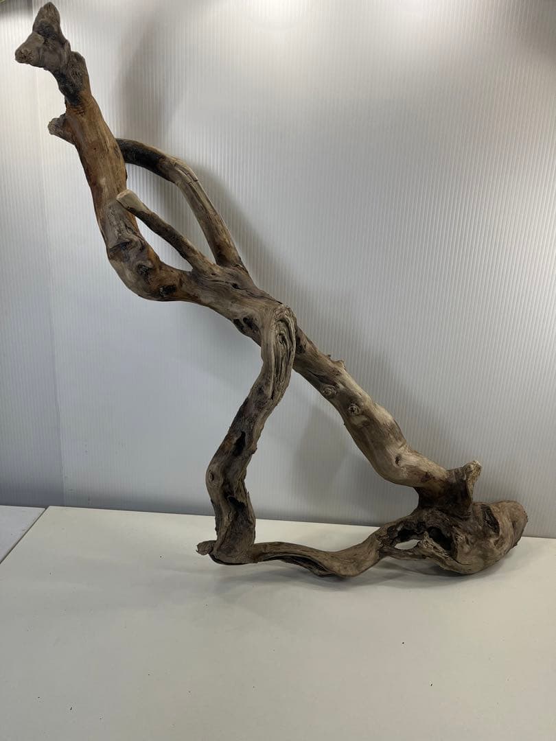 k36特大流木 アク抜き済み 爬虫類シェルター レイアウト用 登り木