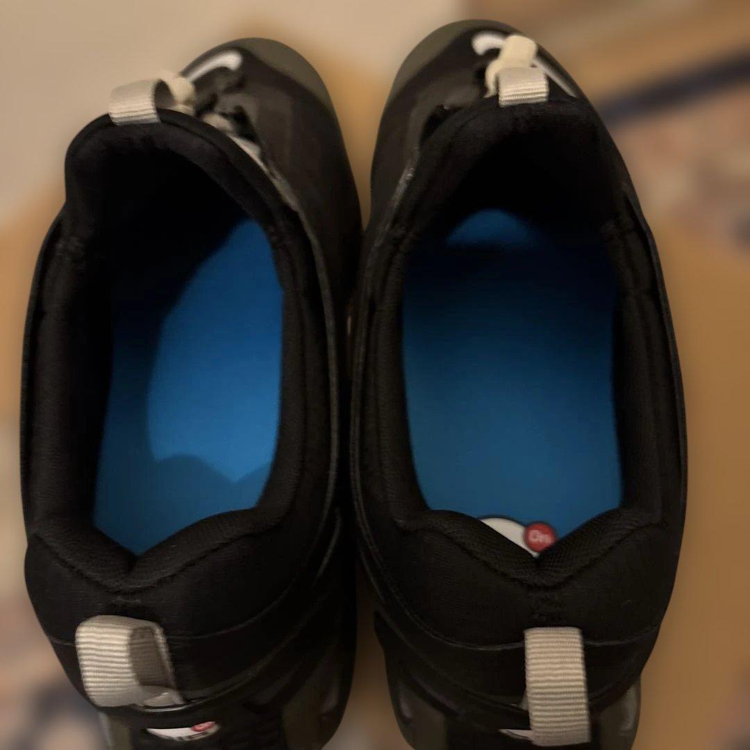 Nike Air Max Dn Roam 27.5cm エアマックスナイキ　新品