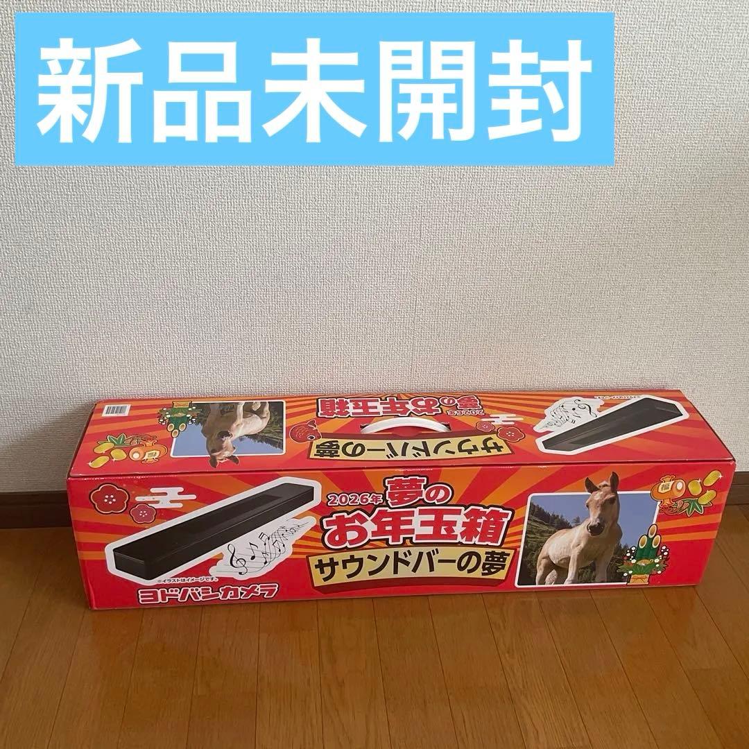 未使用未開封 ヨドバシカメラ夢のお年玉箱2026 サウンドバーの夢