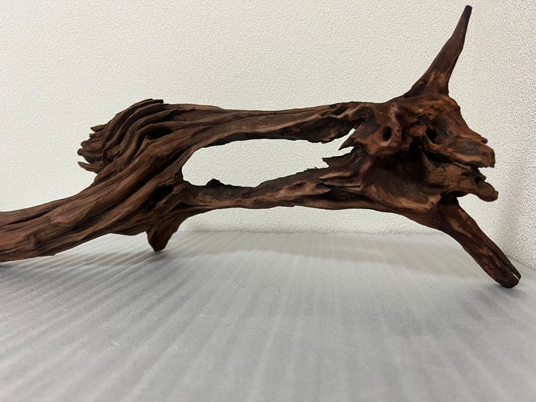 HX-081 流木 ホーンウッド マシンガンウッド アクアリウム ブランチ