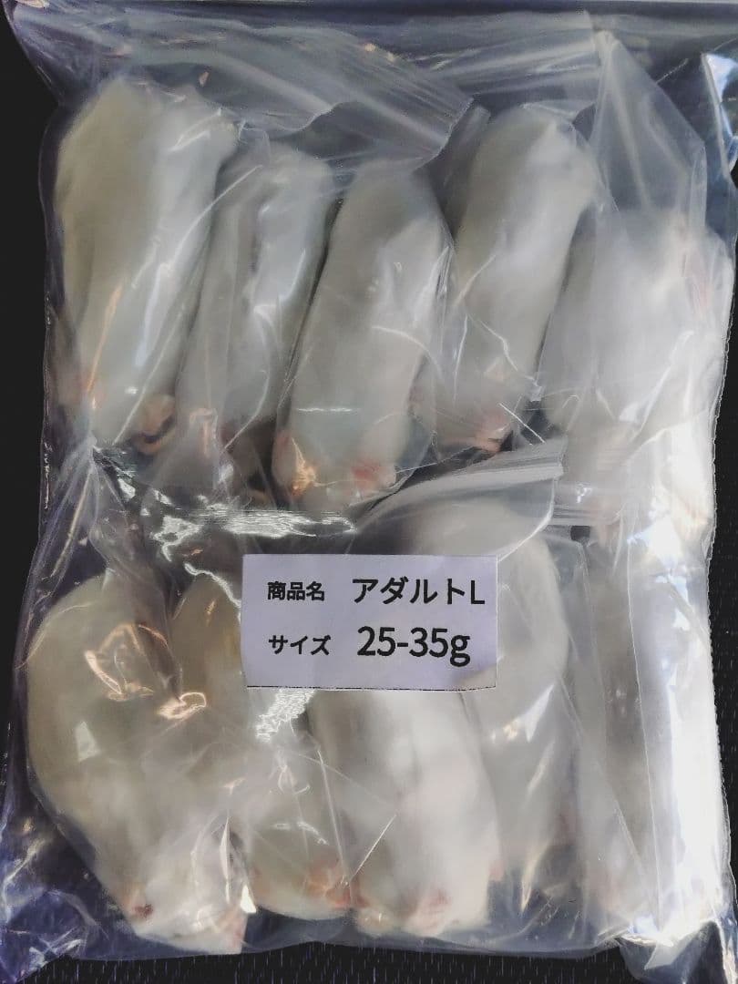 送料無料 冷凍マウスアダルトＬ100匹 冷凍マウス アダルトL 10匹 国産 SAfarm | 冷凍マウス,アダルト