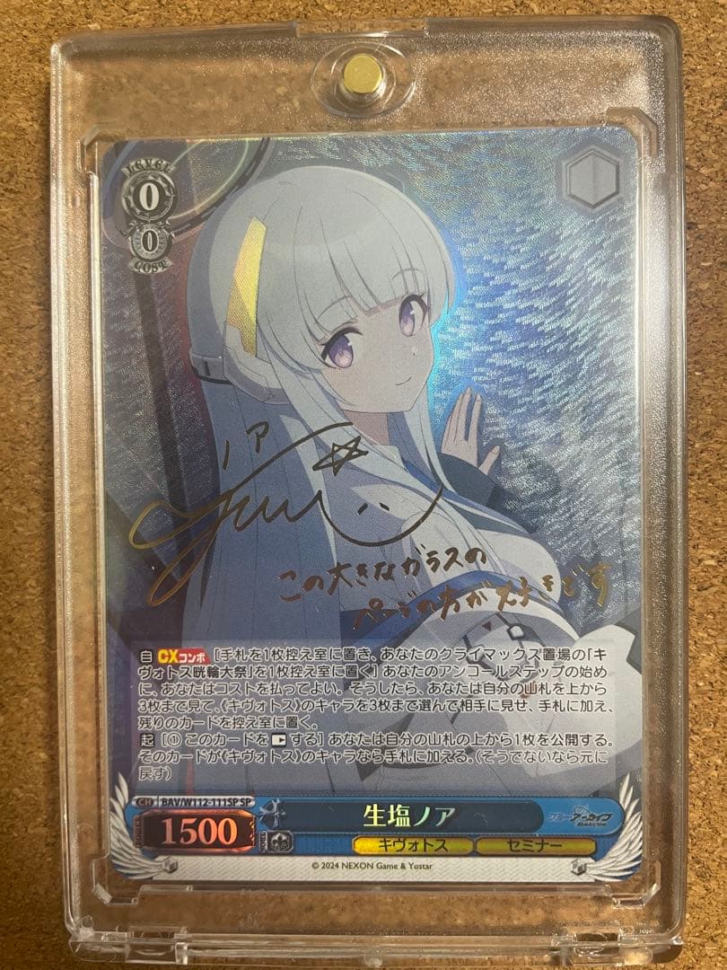 ヴァイスシュバルツブルーアーカイブ生塩ノア サイン入り