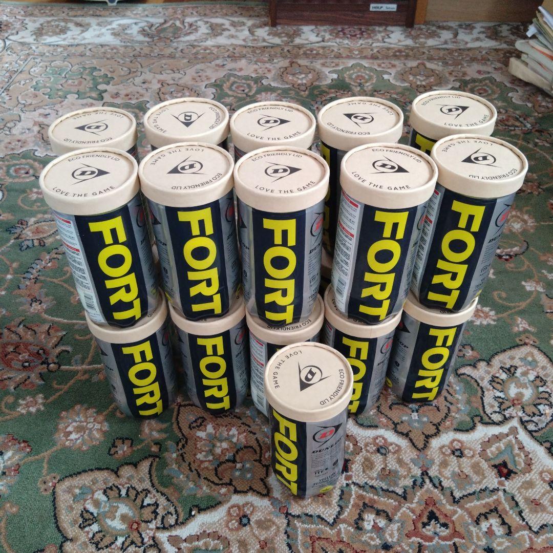 DUNLOP ダンロップ テニスボール FORT 21缶まとめ売り DUNLOP（ダンロップ） 「2球入×15缶セット 箱なし 「FORT フォート [2