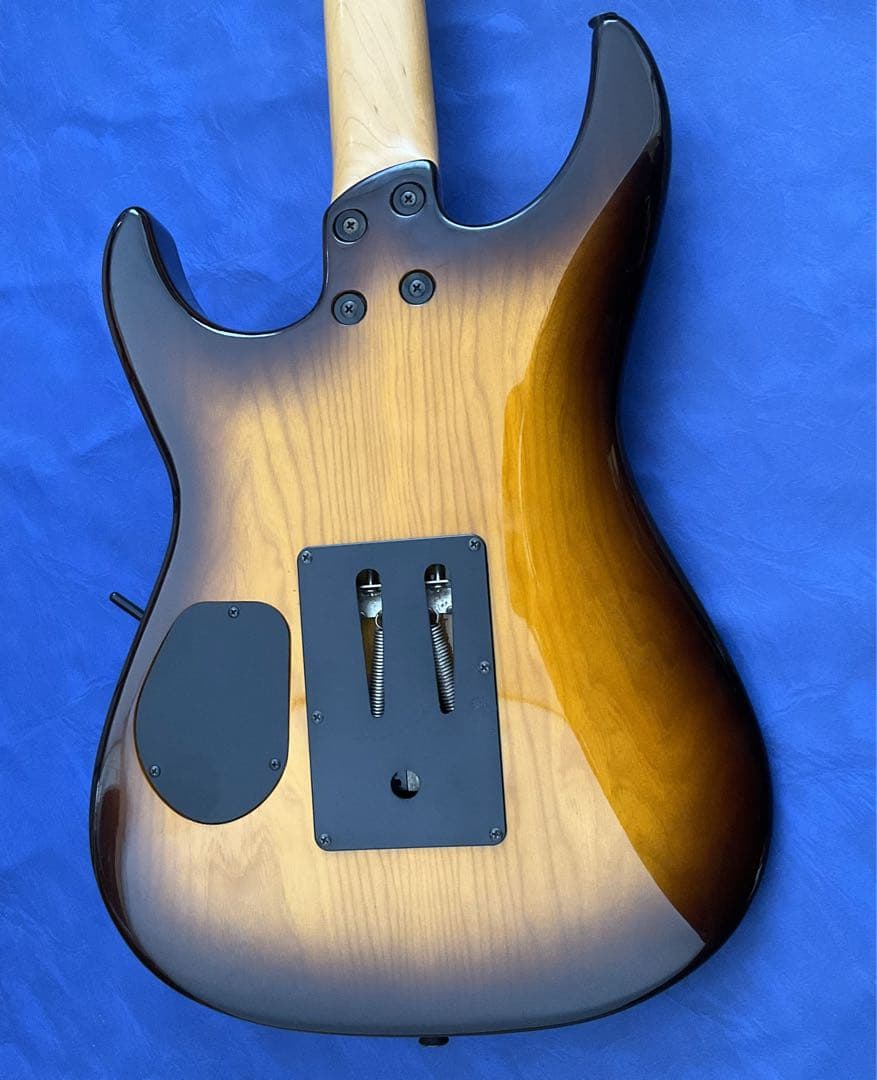 玄人向け】Fernandes FR ブラウンバースト【特殊トレモロ】 - メルカリ