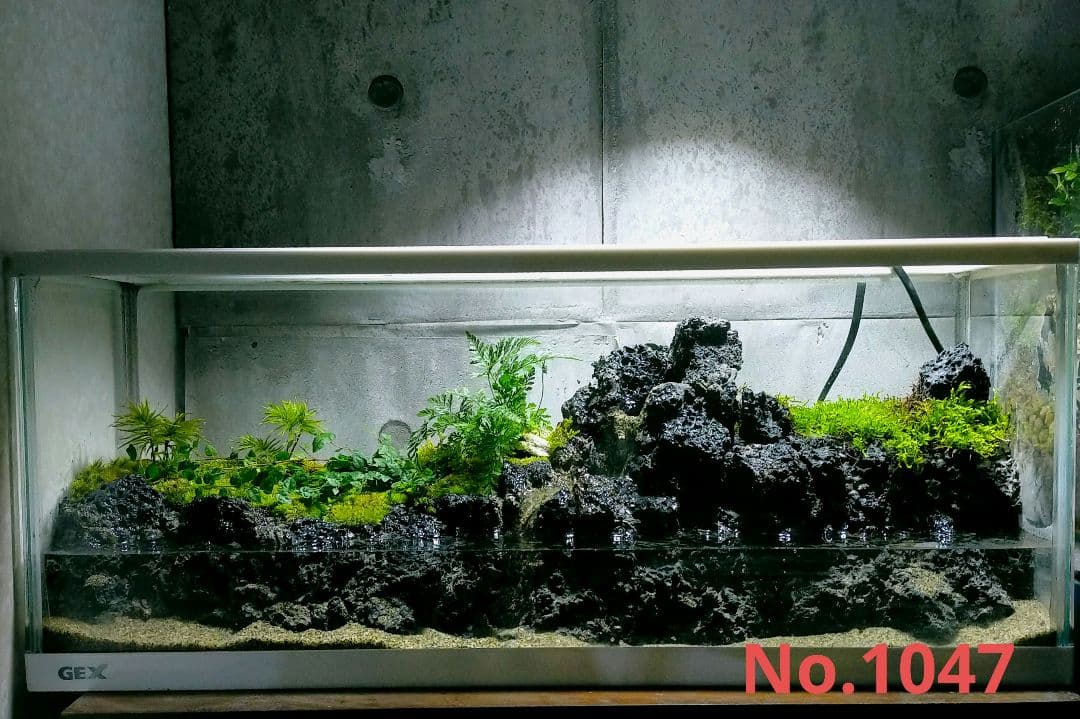 滝の流れるアクアテラリウム イモリウム No.1047 - メルカリ