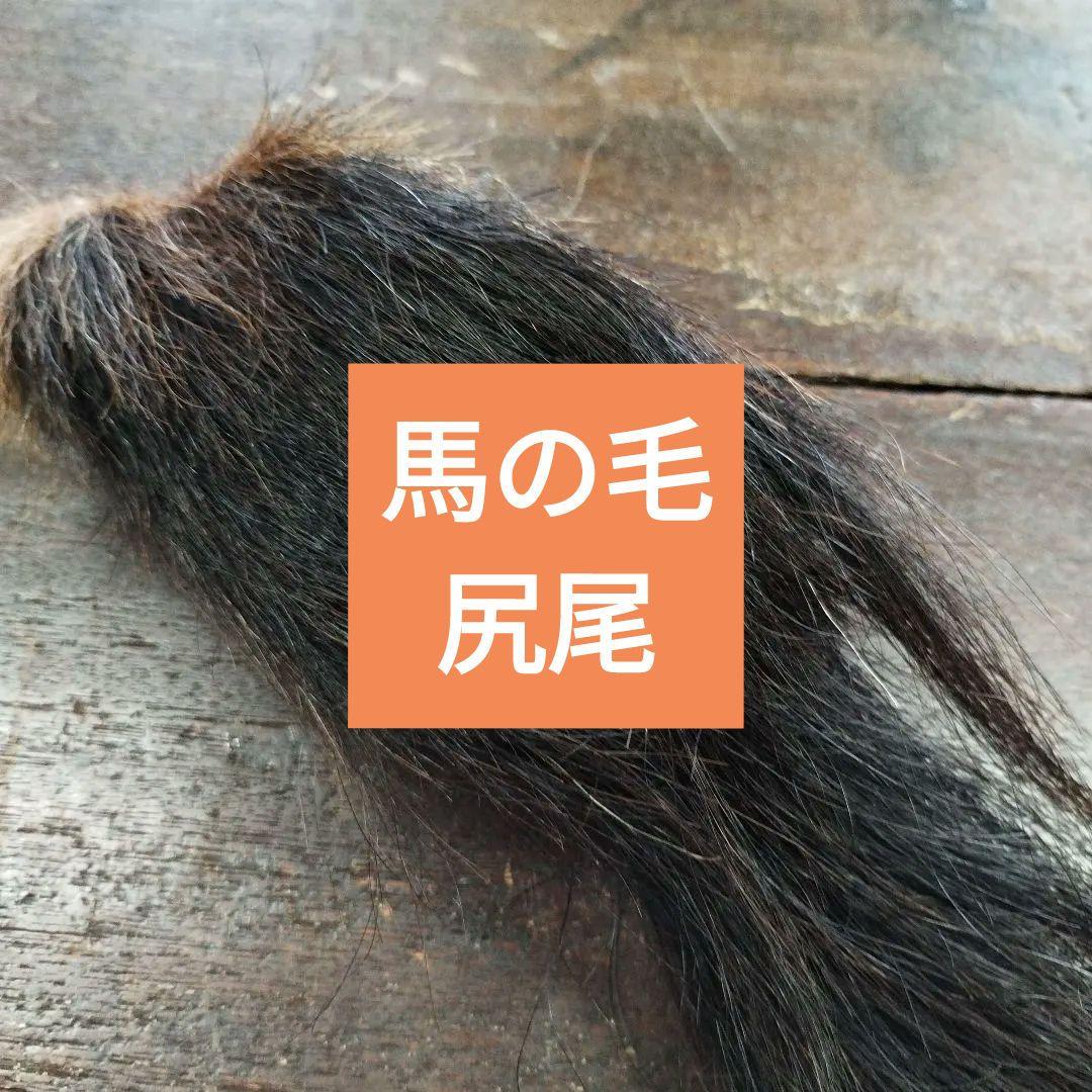 馬の尻尾毛希少珍しい縁起物馬毛お守り厄除け - メルカリ