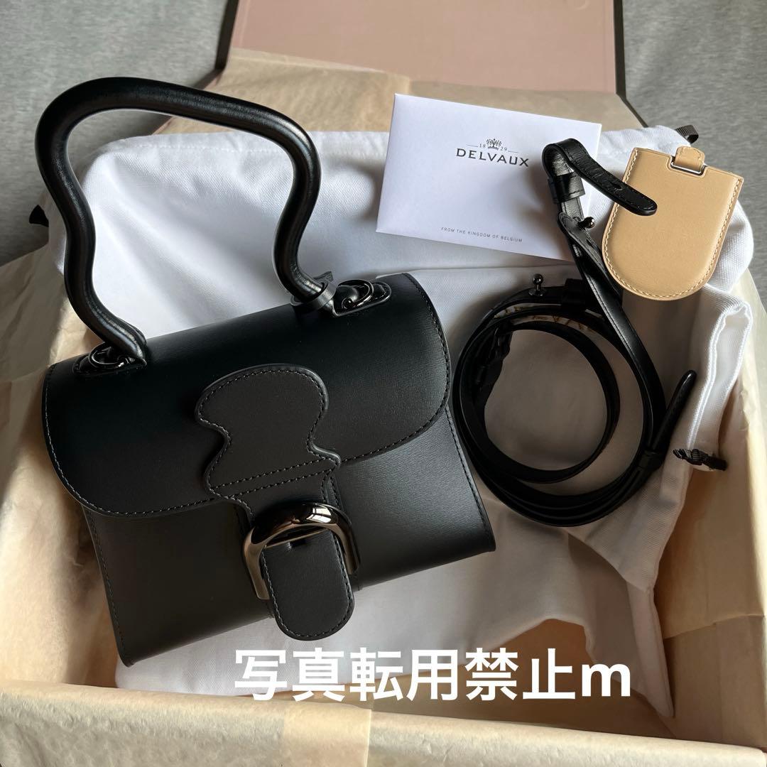 mimi様専用！デルヴォー ブリヨンミニ ウェイビー ブラック 美品