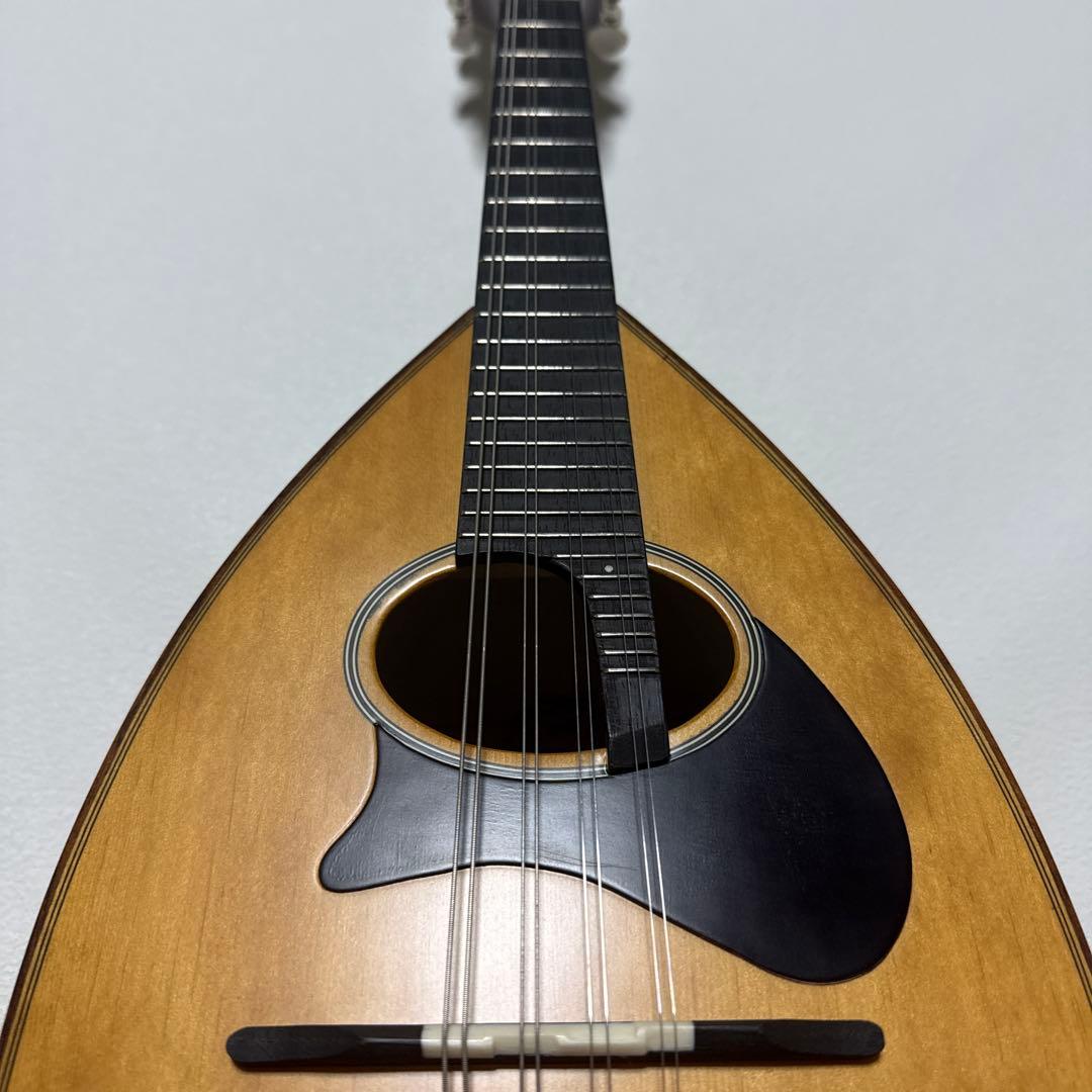 恵那マンドリン 本体 恵那楽器EM-40 ハードケース付 - メルカリ