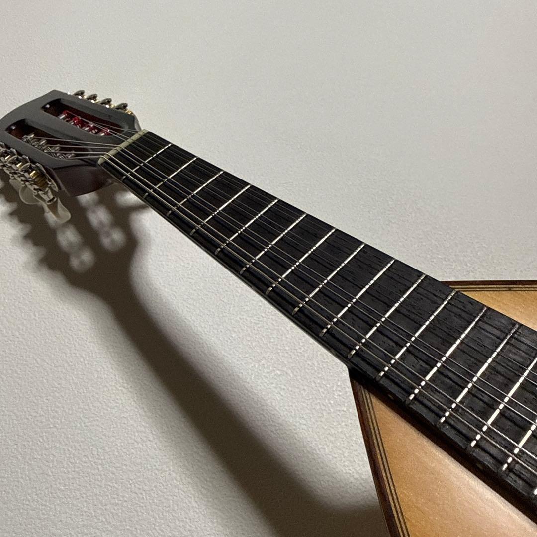 恵那マンドリン 本体 恵那楽器EM-40 ハードケース付 - メルカリ