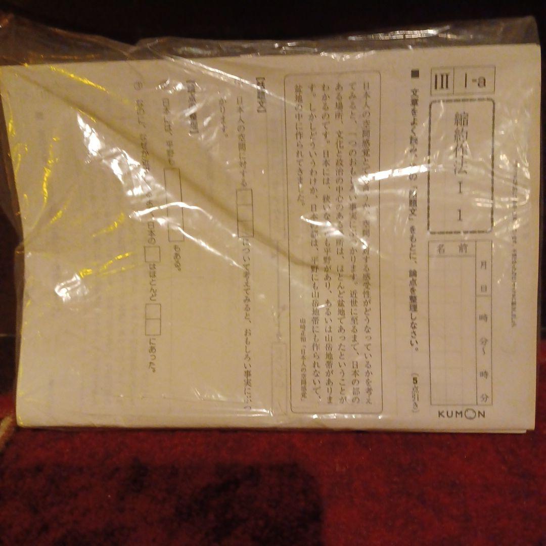 未記入 国語 IⅡ 200枚 解答つき - メルカリ