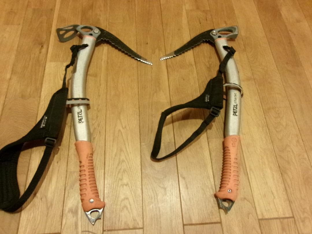 オキナワノコギリ トクノシマノコギリ 野外標本