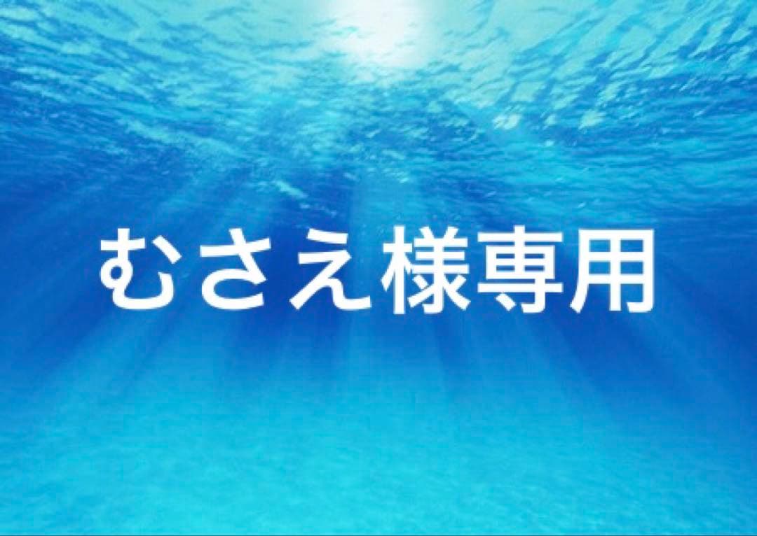 むさえ 　軽やかストレスフリーブラ&ショーツ ⭐️3セット⭐️ ピュアシェリ スウィートシフォンフリル×ケミカル ブラセット ABCD