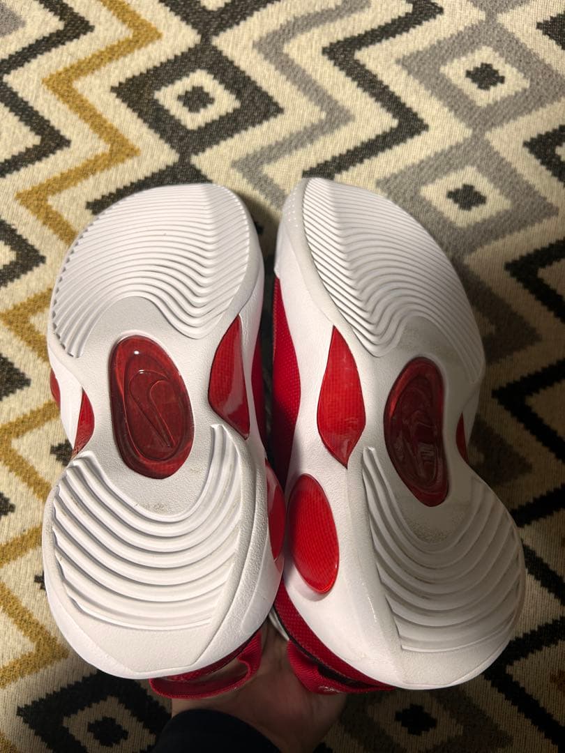 nike zoom flight95 28.5cm ズームフライト95 赤