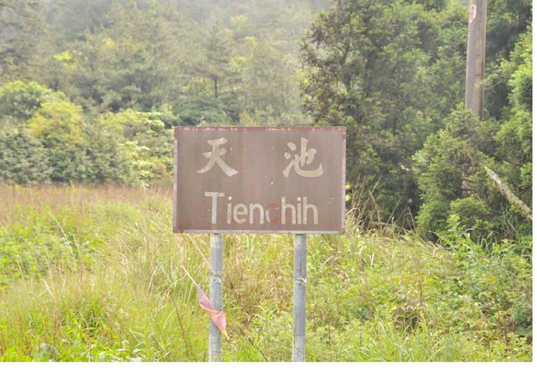 台湾好茶】梨山 「天池」高冷茶 冬茶 75g台湾好茶】梨山 「