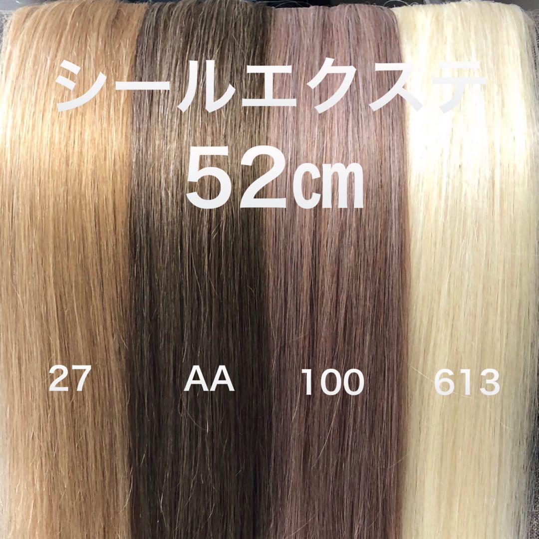 シールエクステ 52 カラーエクステ ロングストレート - メルカリ