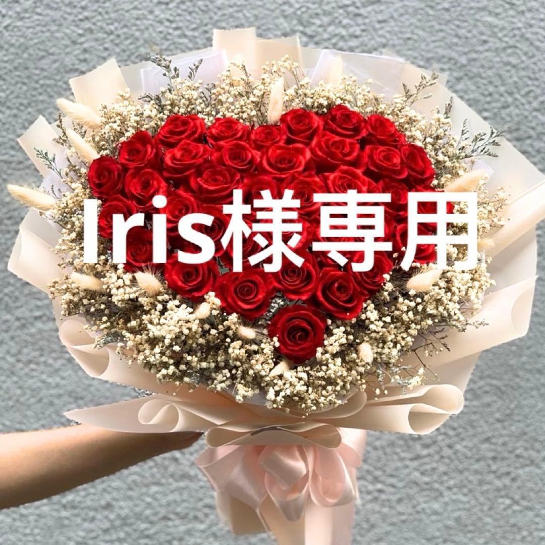 Iris明日発送 作業服|作業着|アイトス（AITOZ）|高視認性防水防寒パンツ|az-8962|