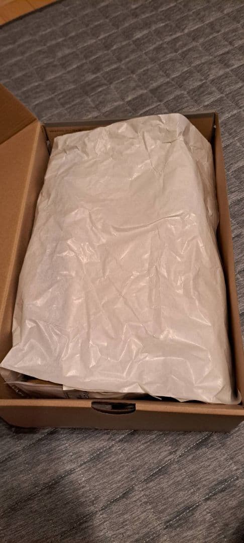 【極美品】ナイキ レブロン18 ロー バイオテック 29.0cm