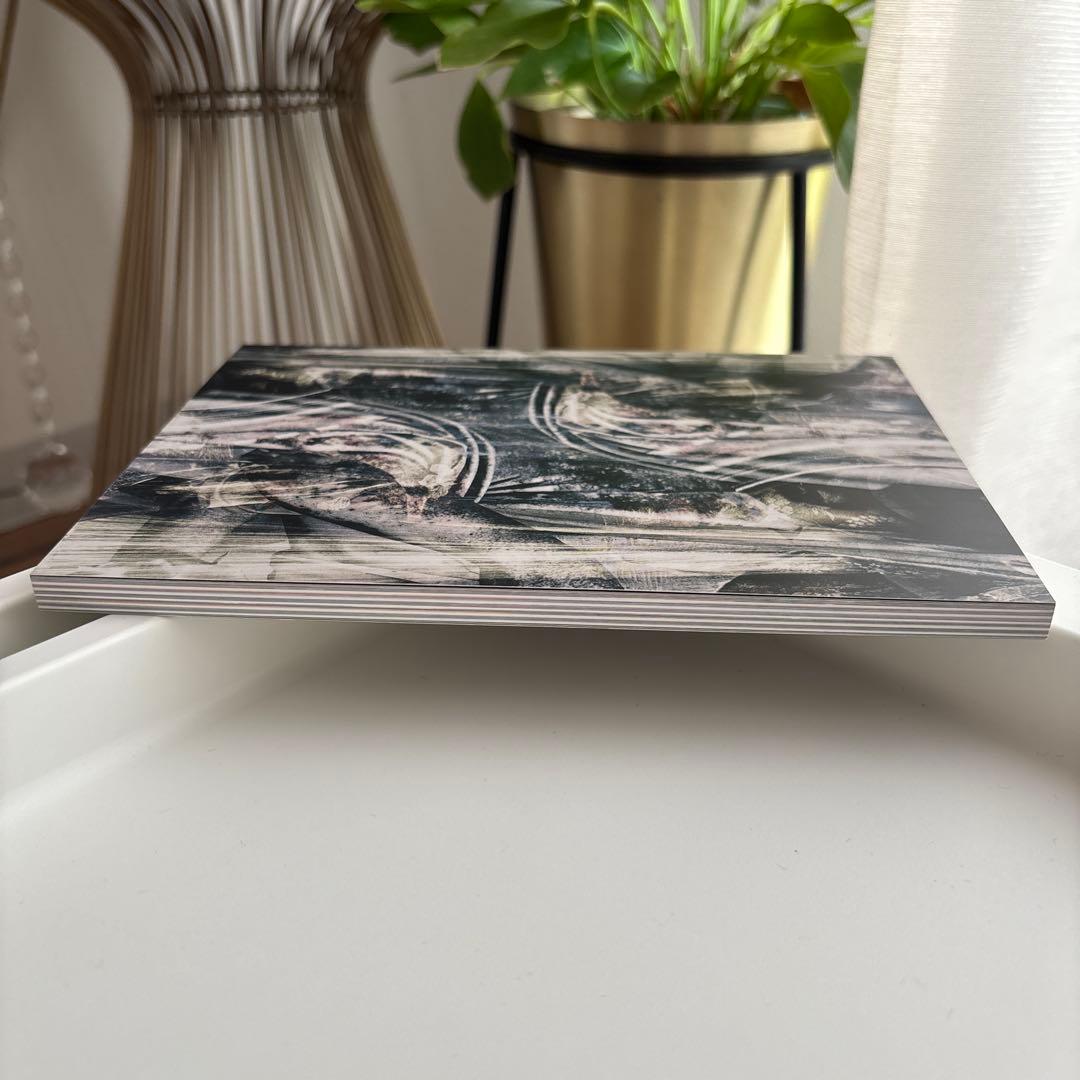 【美品】The GazettE -再定義- COMPLETE BOX FC限定盤