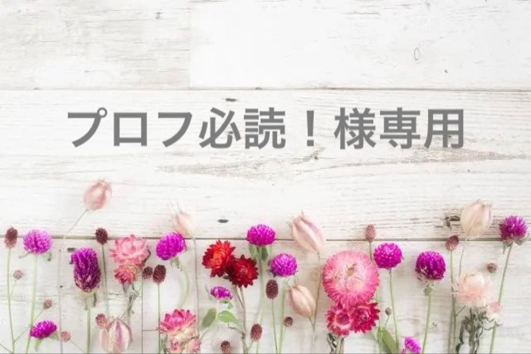 プロフ必読！ Z/X -Zillions of enemy X- NF DramaCD22 「ねむる記憶のリルフィ