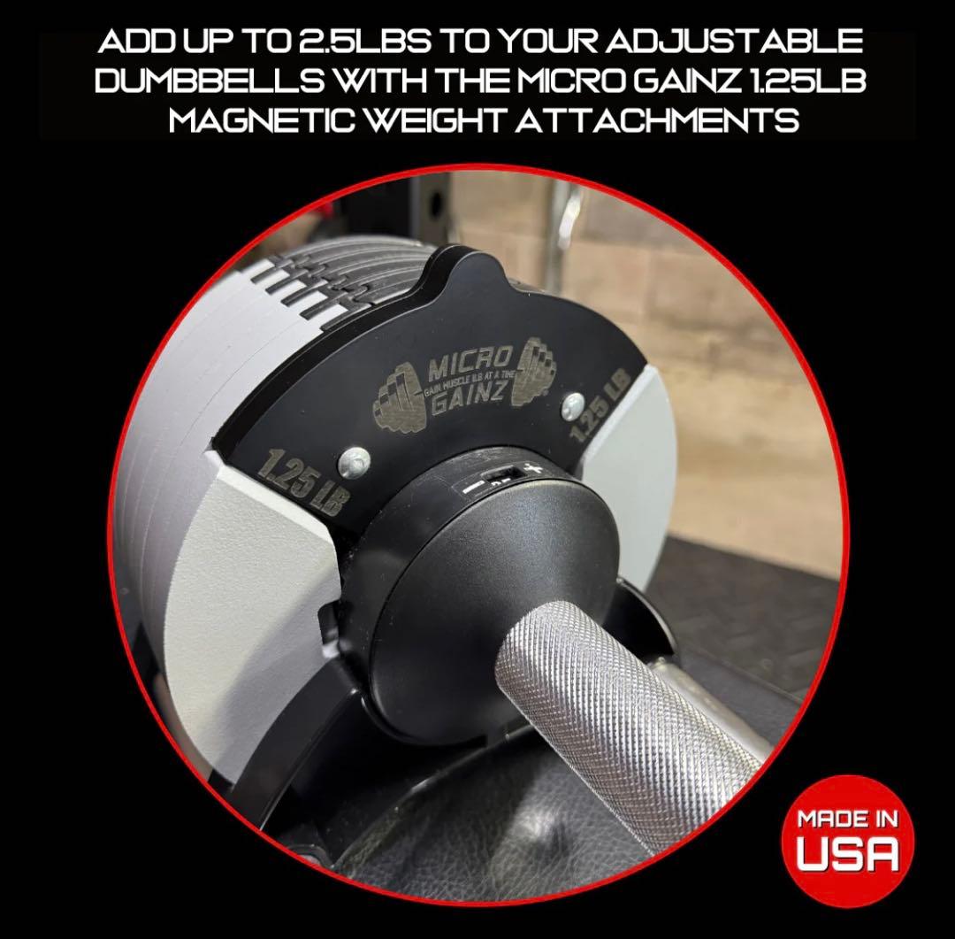 MICRO GAINZ 1.25LB マグネット式 NUOBELL 調節用