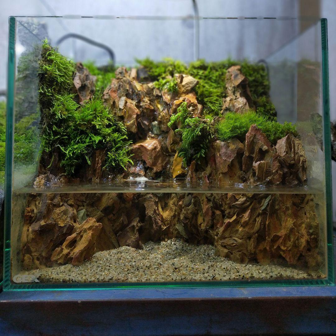 滝の流れるアクアテラリウム イモリウム No.908 - メルカリ