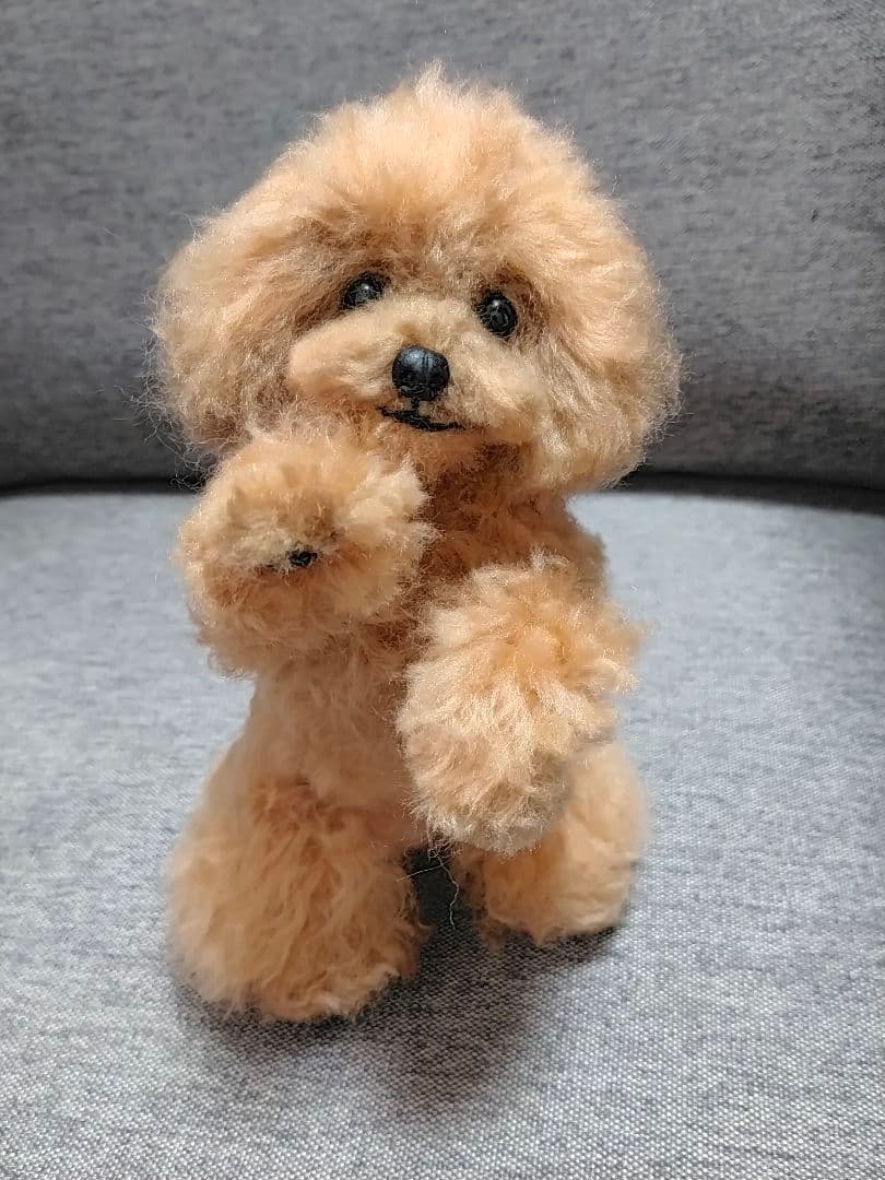 送料込み。トイプードルレッドちゃん。ちょうだいポーズ♡直立