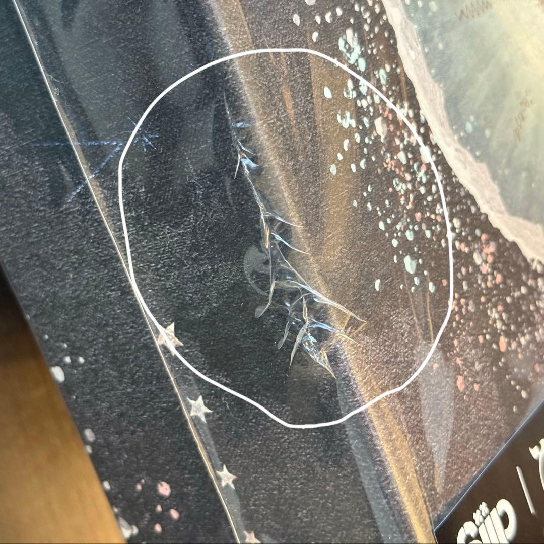 りあ様専用】Siipガイア 完全生産限定版 (グッズ、外箱) - メルカリ