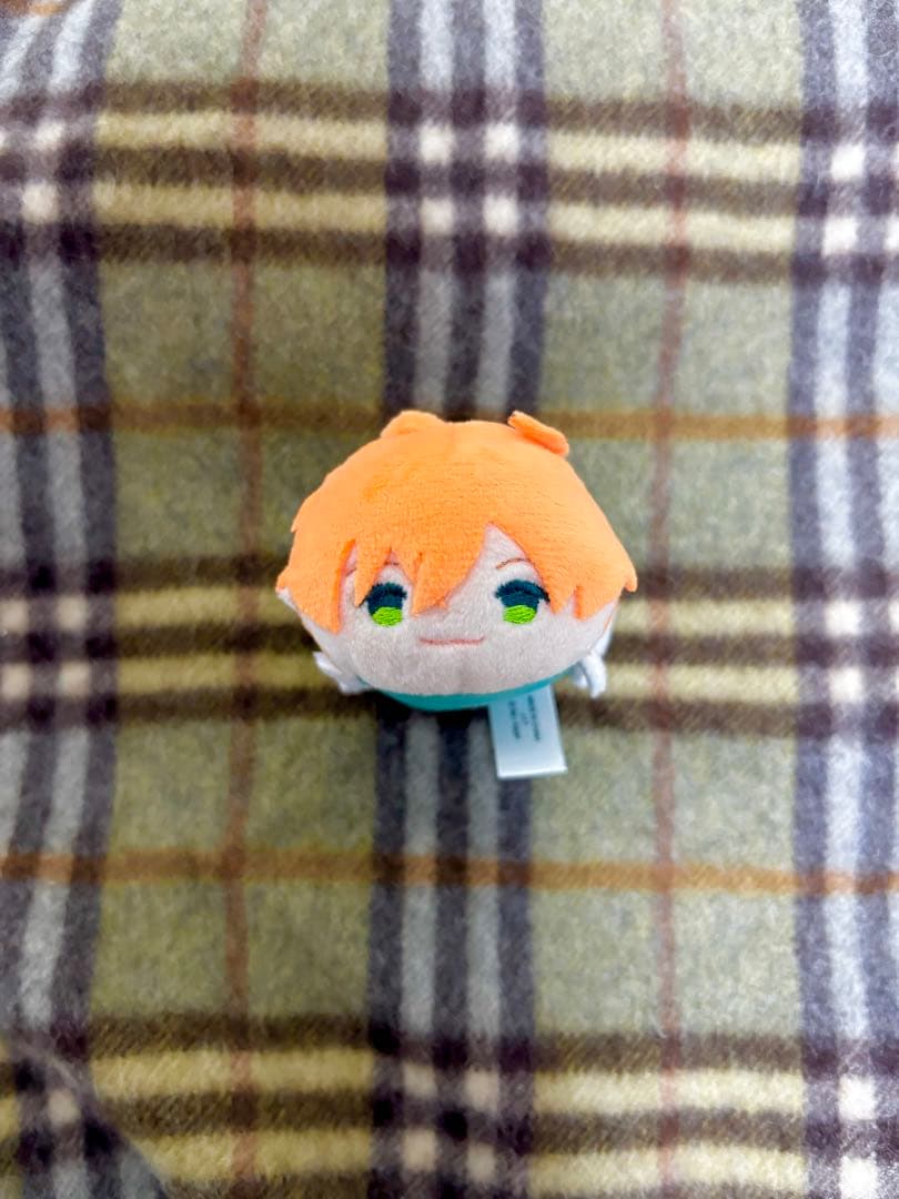 もちもちマスコット もちマス FGO ロマニ アーキマン Fate 特典 - メルカリ