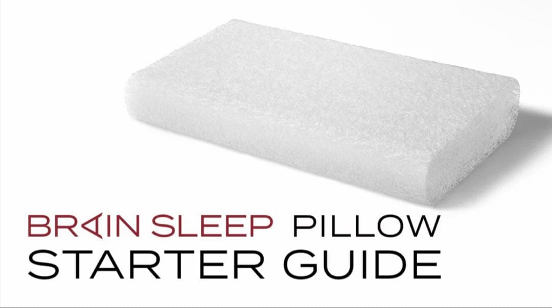Brain Sleep Pillow スタンダードサイズ ブレインスリープ ピロー | BRAIN SLEEP OFFICIAL SITE