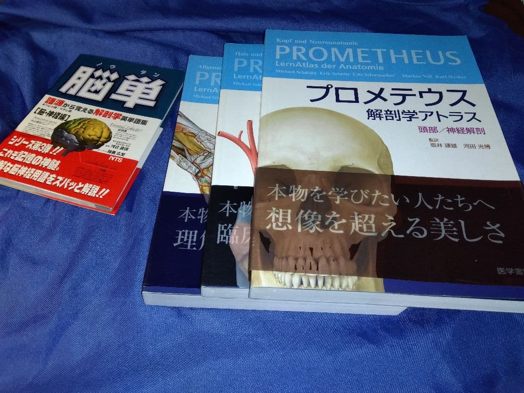 プロメテウス解剖学アトラス 解剖学総論/運動器系 他４冊セット プロメテウス解剖学アトラス 解剖学総論/運動器系 第3版 | 坂井 建雄