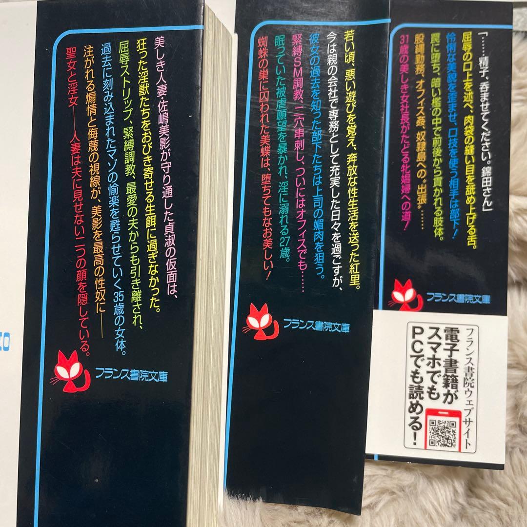 白*角様 最終値下げ　綺羅光 フランス書院文庫 文庫本 入手困難２０冊セット