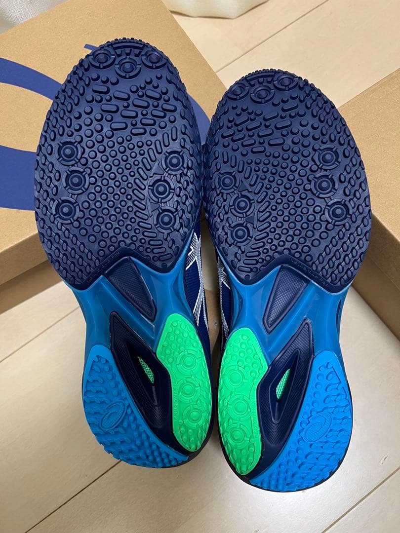 ASICS SOLUTION SPEED FF3 28.5cm オムニ・クレー